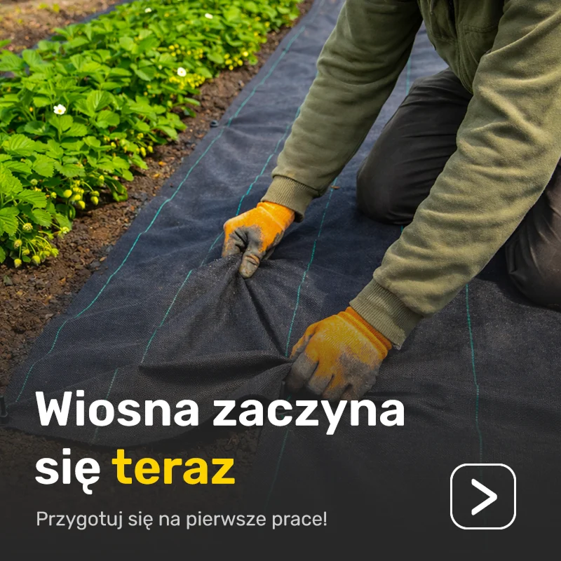 Grafiki Heckermann — strona www — zdjęcie 2