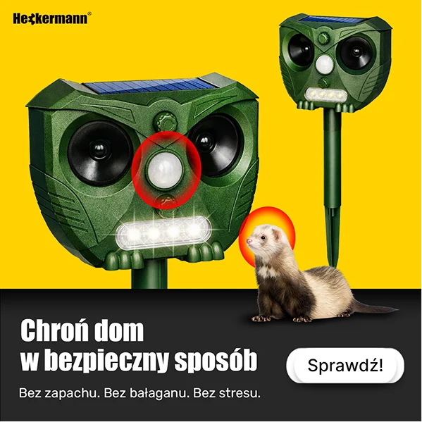 Heckermann — Facebook Ads