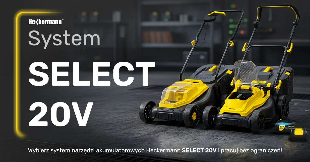Heckermann — Google Ads