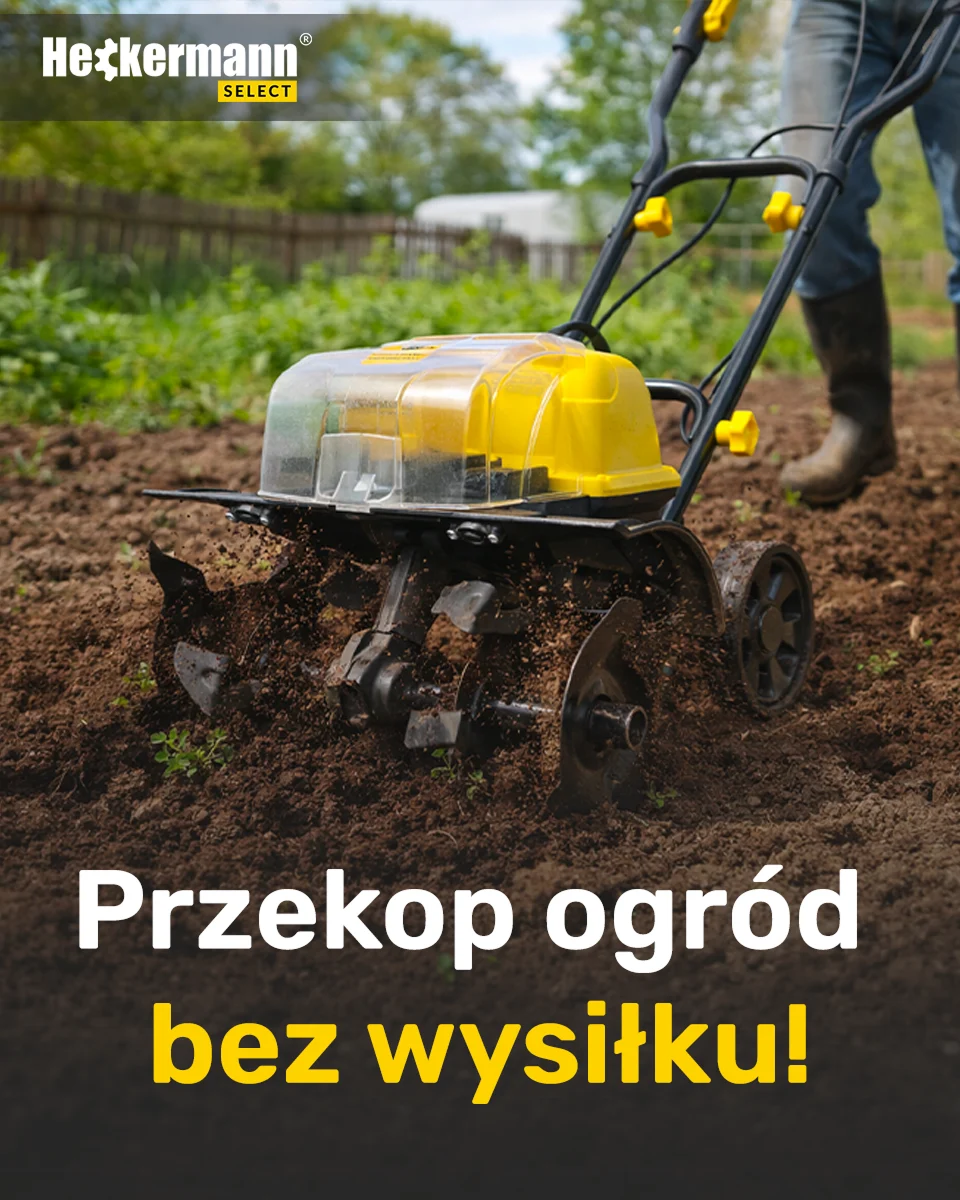 Heckermann — Google Ads — zdjęcie 7