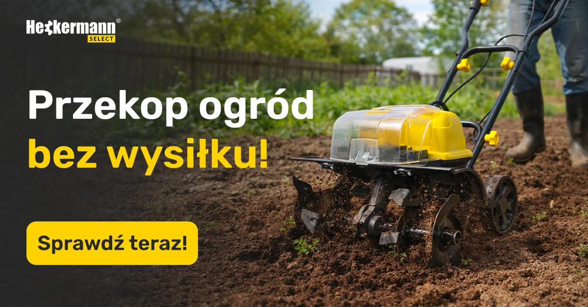 Heckermann — Google Ads — zdjęcie 8