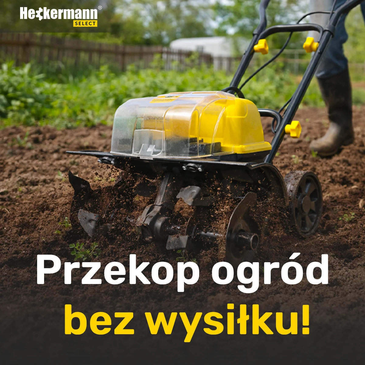 Heckermann — Google Ads — zdjęcie 9
