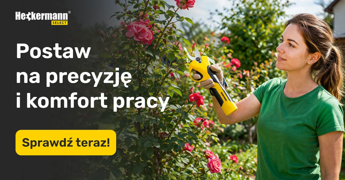 Heckermann — Google Ads — zdjęcie 10
