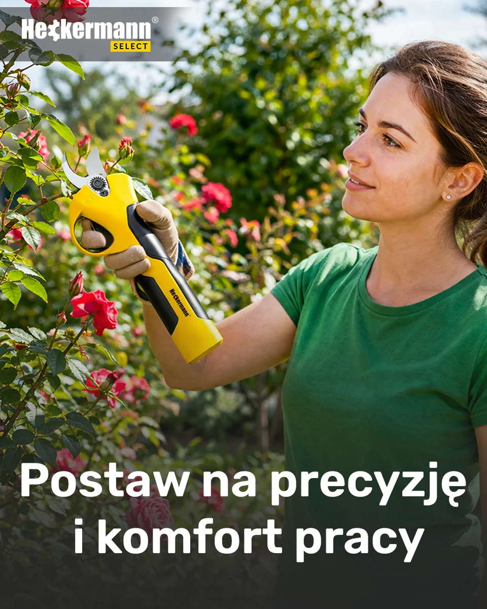 Heckermann — Google Ads — zdjęcie 11