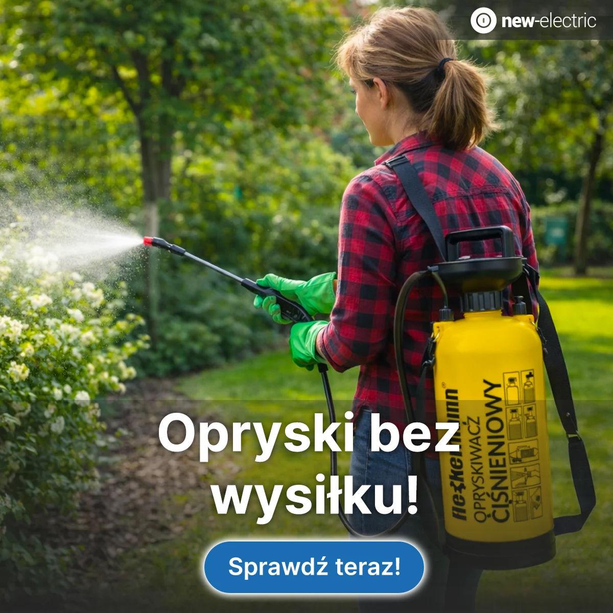 New-electric — Google Ads — zdjęcie 2