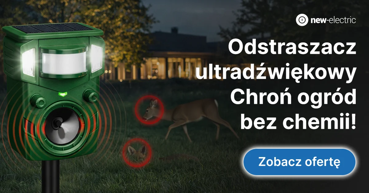 New-electric — Google Ads — zdjęcie 7