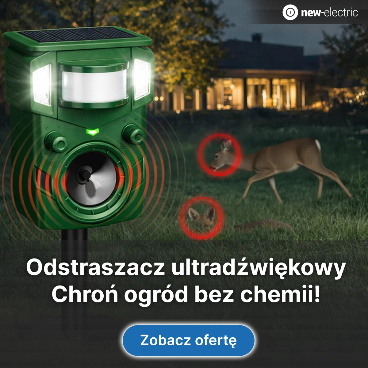 New-electric — Google Ads — zdjęcie 9