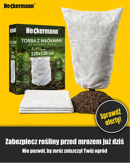Pozostałe grafiki — zdjęcie 5